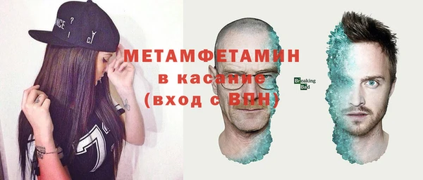 прущие грибы Верхний Тагил