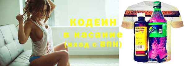 прущие грибы Верхний Тагил