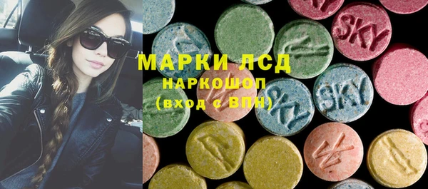 прущие грибы Верхний Тагил
