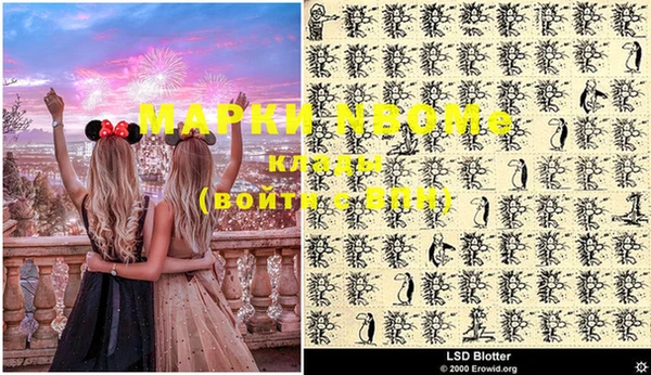 прущие грибы Верхний Тагил