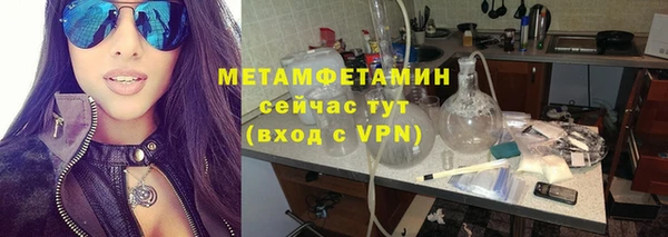прущие грибы Верхний Тагил