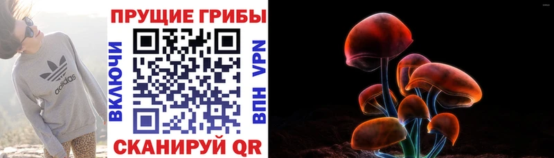 Галлюциногенные грибы Psilocybine cubensis  Липки 
